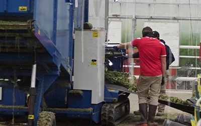 Broyage des déchets agricoles