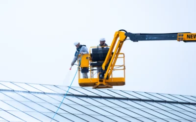 Le blanchiment des serres : tout ce qu’il faut savoir pour protéger vos cultures