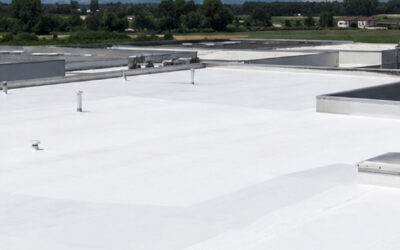 Comment réduire la chaleur dans un bâtiment industriel pendant l’été ?
