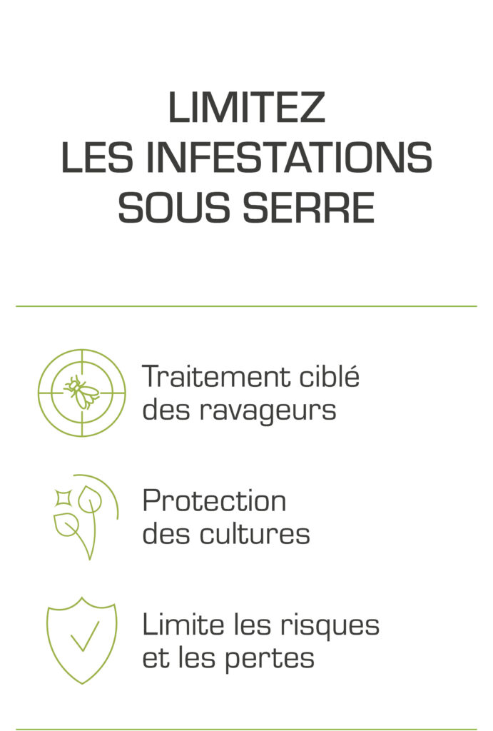 Limitez les infestions sous serres